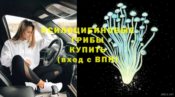 синтетический гашиш Алексеевка