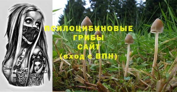 синтетический гашиш Алексеевка