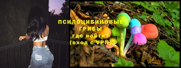 а пвп мука Алзамай