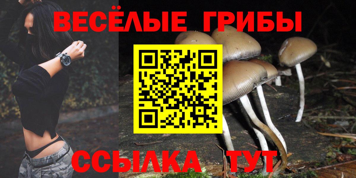Галлюциногенные грибы Magic Shrooms Асино