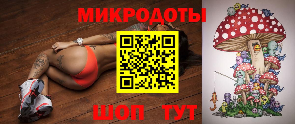 Асино  Псилоцибиновые грибы Cubensis  Вход с VPN  Псилоцибиновые грибы Cubensis 